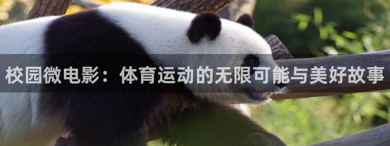 oety欧亿：校园微电影：体育运动的无限可能与美好故事