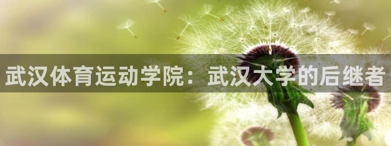 oety欧亿：武汉体育运动学院：武汉大学的后继者