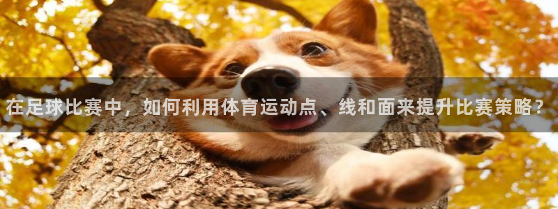 oety欧亿：在足球比赛中，如何利用体育运动点、线和面来提升比赛策略？