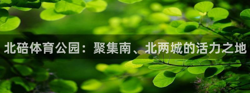 oety欧亿：北碚体育公园：聚集南、北两城的活力之地