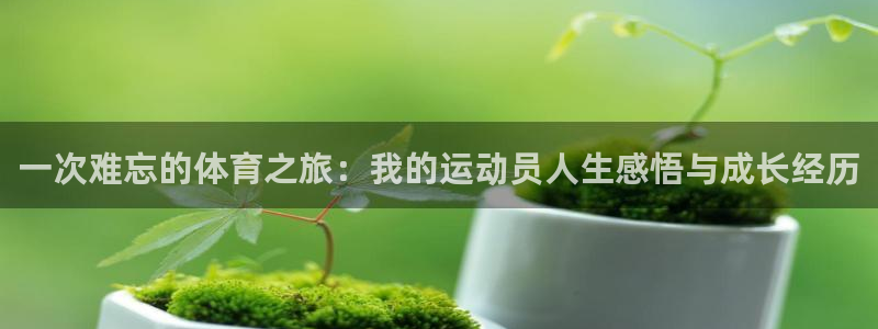 oety欧亿：一次难忘的体育之旅：我的运动员人生感悟与成长经历